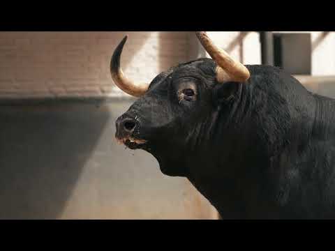 SORTEO | Toros de Victoriano del Río, corrida de toros 7 junio