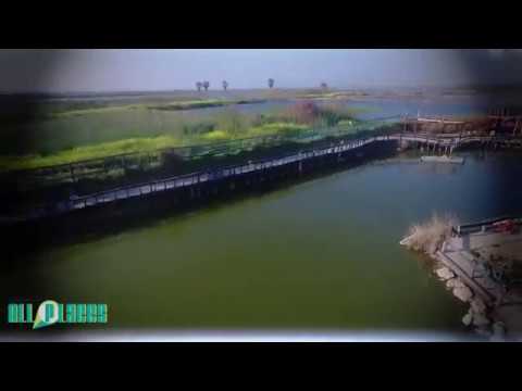 youtube video lMxknzADL9k