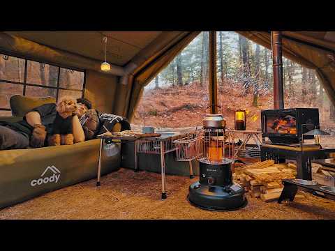 Camping in Forest with My Dog . Roast Fish in the Wild . Wood Stove ASMR