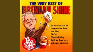 Shoe the Donkey