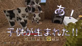 PS4【マインクラフト】初心者が行く！第11話 牧場作り（マイソング様まだ続き）の巻☆