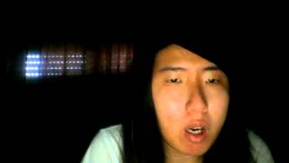 me singing Sylver-wild horses