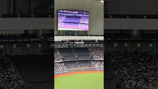 【Team Taiwan】 #premier12 台湾VS韓国@台北大巨蛋 20241113 #台湾チア #cheerdance #cheerleading #啦啦隊 #中華隊 #teamtaiwan