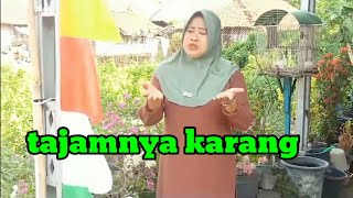 Download lagu TAJAMNYA KARANG ‼️MANSYUR S. COVER NURLELA mp3