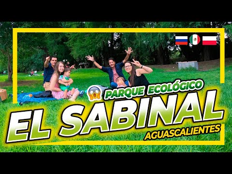Así es EL SABINAL 🌳PARQUE ECOLÓGICO 🌳(Aguascalientes)
