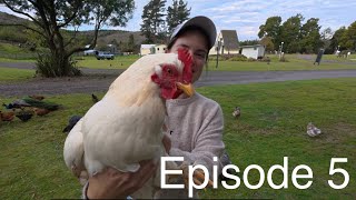 Episode 5: Rotorua to Taupo madness
