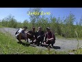 Элджей - Suzuki НОВЫЙ КЛИП 20!8 (пародия) Элджей - Suzuki НОВЫЙ КЛИП 20!8 (пародия)