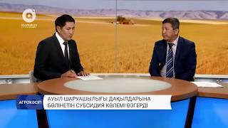 Ауыл шаруашылығы дақылдарына бөлінетін субсидия көлемі өзгерді