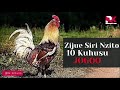 DENIS MPAGAZE SIRI NZITO 10 KUHUSU JOGOO