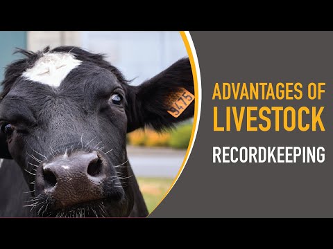 Is Potato Farming Profitable