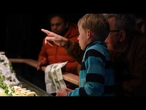 Smilestones Testbericht Geschenkmagazin