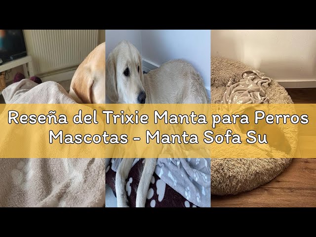 Vídeo relacionado con Trixie Manta para Perros y Gatos - Manta Suave y Cálida para Mascotas - Beany 100x70 cm Burdeos