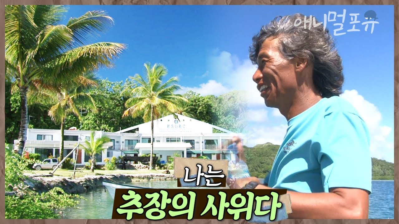 원주민과 결혼한 한국 남자?! 바다와 산호가 아름다운 남태평양의 작은 섬나라로 떠났다🌊 | 남태평양 그 남자 | KBS 인간극장 2013 방송