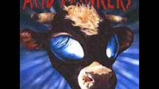 Acid Drinkers   Dementia Blvd