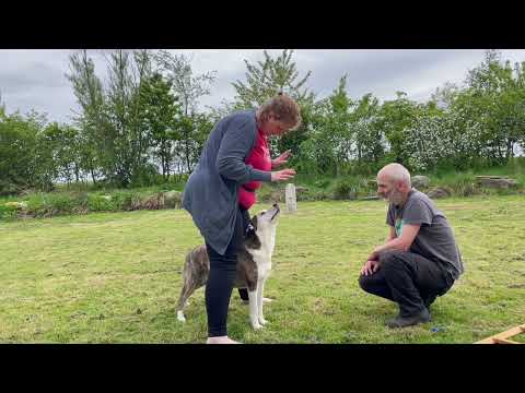 Cooperative blood draw mock up - 190523