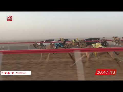 ش 9 (اليازيه) لـ سهيل سالم العويسي 2:08 ، شارة الصندوق 2026/07/02 الروضة فطامين