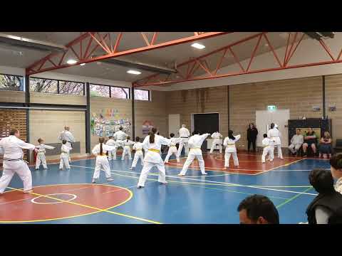 GKR Karate First Kata | Taigyoku Shodan