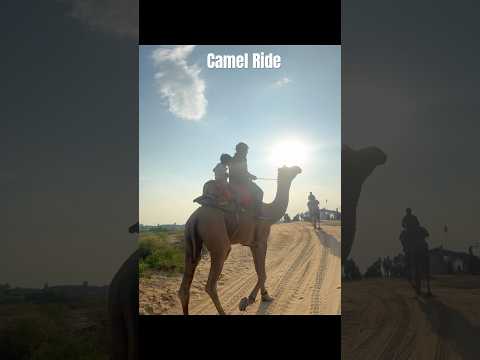 Camel Ride 🐪 AJMER   #camelriding #ajmer #ajmersharif #ajmersharifdargah #camel_racing #camelride