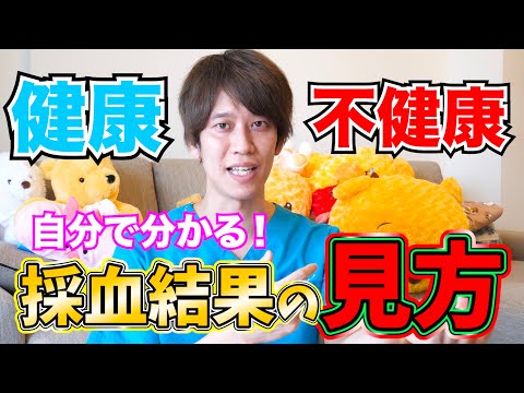 【解説】採血の検査結果の読み方を教えます！