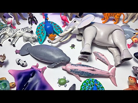 100 Beautiful Playmobil Sea Animals & Wild Animal Toys