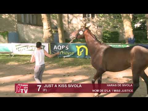 Sprinter Sacré Show 2021 : Lot 7 - Just A Kiss Sivola