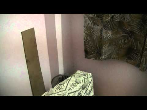 sujit birthday cake cutting