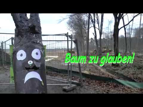 Baum zu glauben! Abholzung stoppen