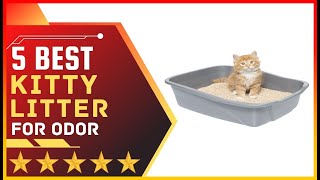 ✅ Best Kitty Litters for Odor ➡️ Top 5 Tested & Buying Guide