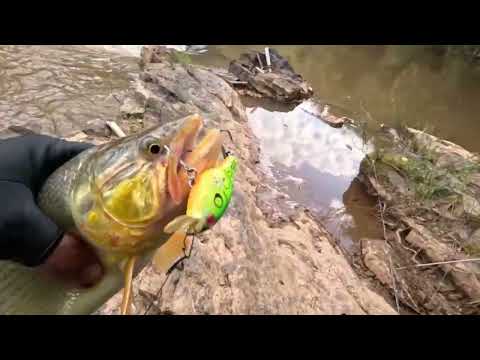 Pescando em Luminárias MG - Rio Ingaí