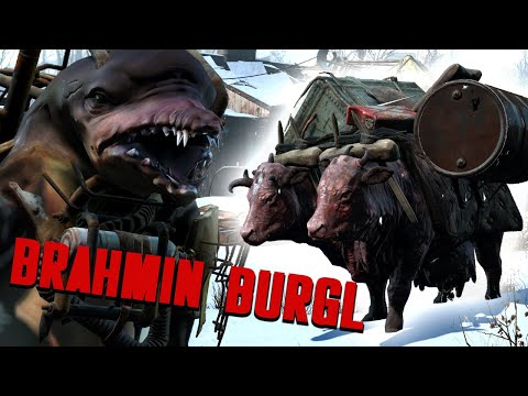 Become A Brahmin Burglar (With Consequences!) | Fallout 4 mods