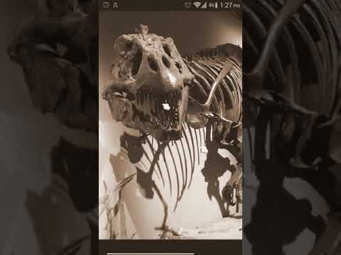 Sapiens - discovery of species and dinosaurs Video