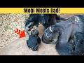 Mobi The Baby Gorilla Meets Dad For The First Time
