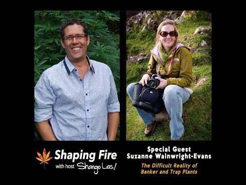 Shaping Fire Ep. 63 - The Difficult Reality of Banker and Trap Plants with Suzanne Wainwright-Evans