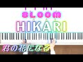 8LOOM-HIKARI ピアノ鍵盤ver.君の花になる劇中歌 8LOOM(ブルーム)HIKARI