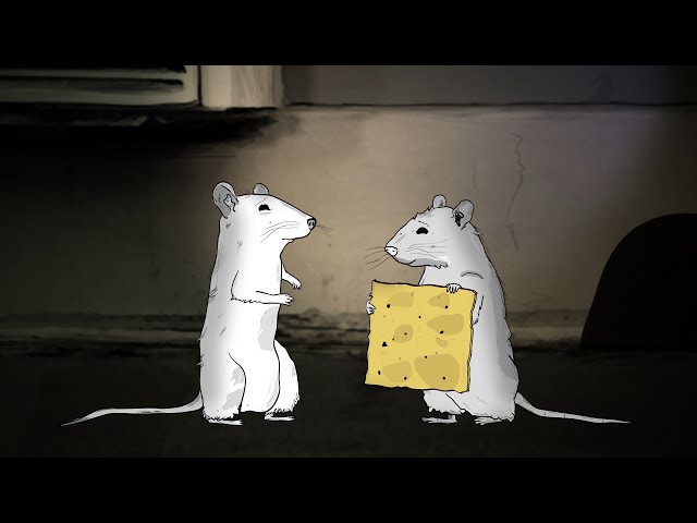 Animals. (Sundance 2015)