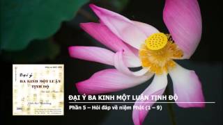 Đại Ý Ba Kinh Một Luận Tịnh Độ - Phần 5 – Hỏi đáp về niệm Phật 1 – 9 Đại Ý Ba Kinh Một Luận Tịnh Độ - Phần 5 – Hỏi đáp về niệm Phật 1 – 9