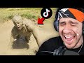 I Laughed Way Too Hard At These Funny Tiktoks