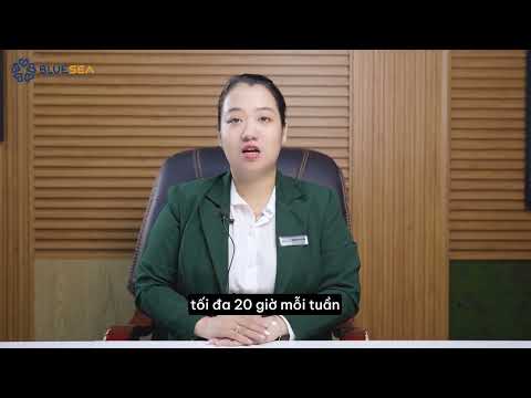 Du học sinh có thể làm thêm khi học tại trường cao đẳng cộng đồng Hoa Kỳ không ?