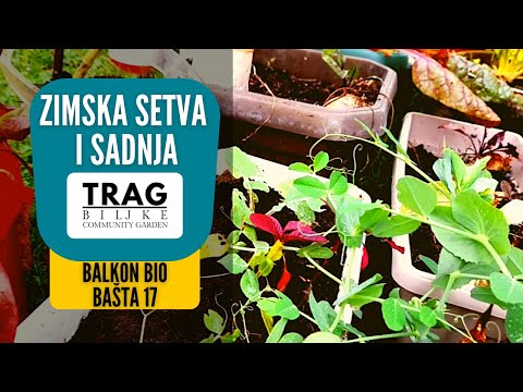 WINTER SOWING AND PLANTING - BIOGARDEN BALCONY 17 (2022) [TRACE OF THE PLANT]