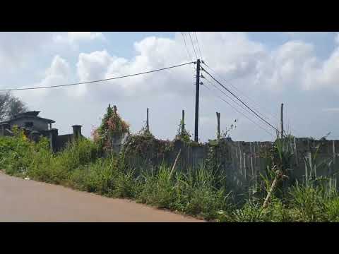 Exploring The Spur Loop Community.