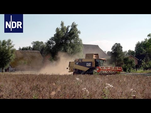 Hitzeschlacht auf dem Acker | NDR