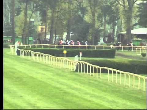 LL, 1. 5. 2016, 7. dostih - Memoriál Václava Špačka