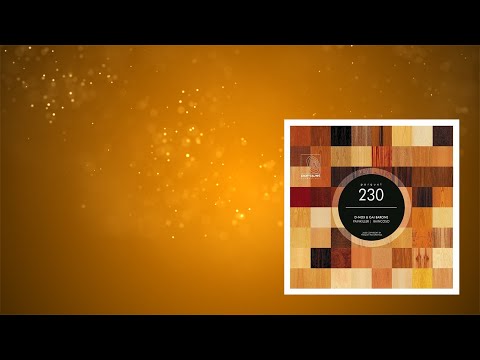 PREMIERE: D-Nox, Gai Barone - Raincoso (Original Mix)