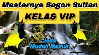 Download lagu MASTERAN SOGON SULTAN KELAS VIP📍Suara Jernih Jeda Mudah Masuk.#masteransogon #sogon mp3 Download lagu MASTERAN SOGON SULTAN KELAS VIP📍Suara Jernih Jeda Mudah Masuk.#masteransogon #sogon mp3