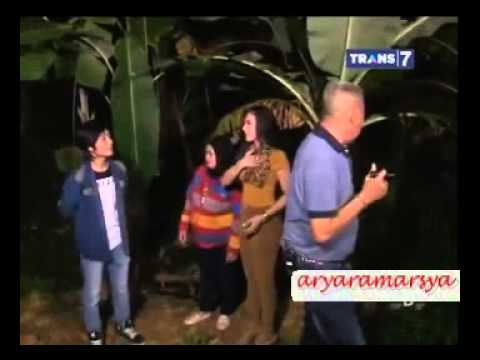 Mister Tukul 28 Maret 2015 - Ratusan Kucing Jelmaan