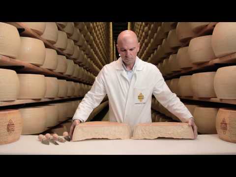 download lagu mp3 mp4 What Is Grana Cheese, download lagu What Is Grana Cheese gratis, unduh video klip What Is Grana Cheese