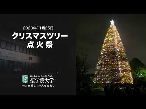 政治経済学科 2020年クリスマスツリー点火祭