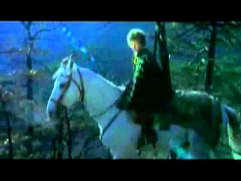 Akademia Pana Kleksa - Wilcza Trauma z Dzieciństwa Powraca o_0