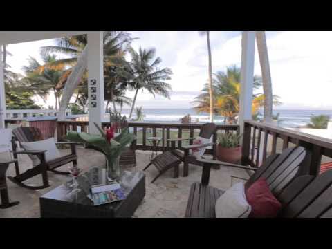 download lagu mp3 mp4 Blue Nest, download lagu Blue Nest gratis, unduh video klip Blue Nest