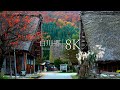 【日本三大秘境】白川郷の紅葉を訪ねて - Japan in 8K